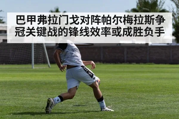 soccer striker shooting goal